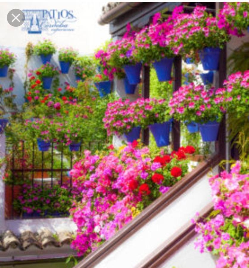קורדובה A 20 Metros De La Mezquita Catedral ,Apartamentos Turistico Cespedes 5 מראה חיצוני תמונה