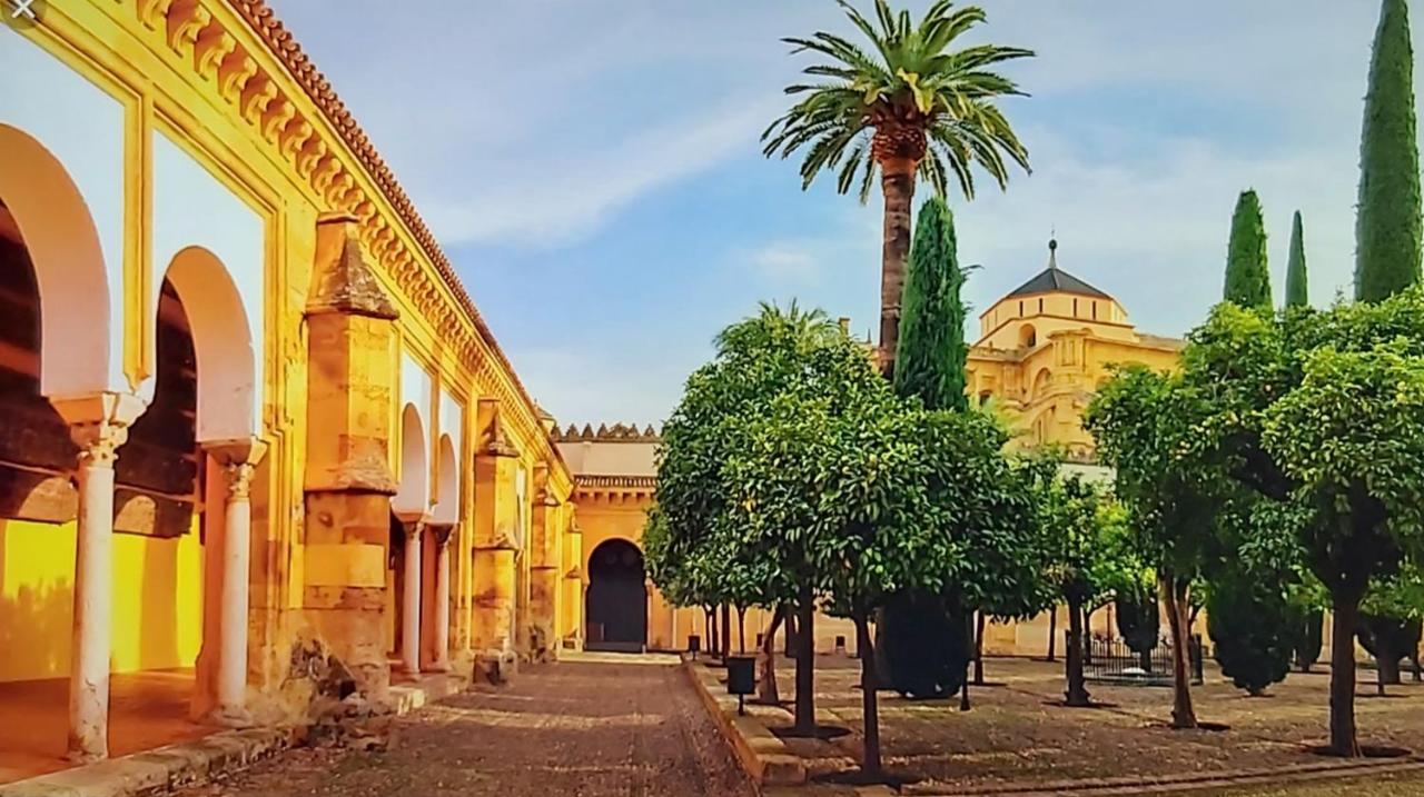 קורדובה A 20 Metros De La Mezquita Catedral ,Apartamentos Turistico Cespedes 5 מראה חיצוני תמונה