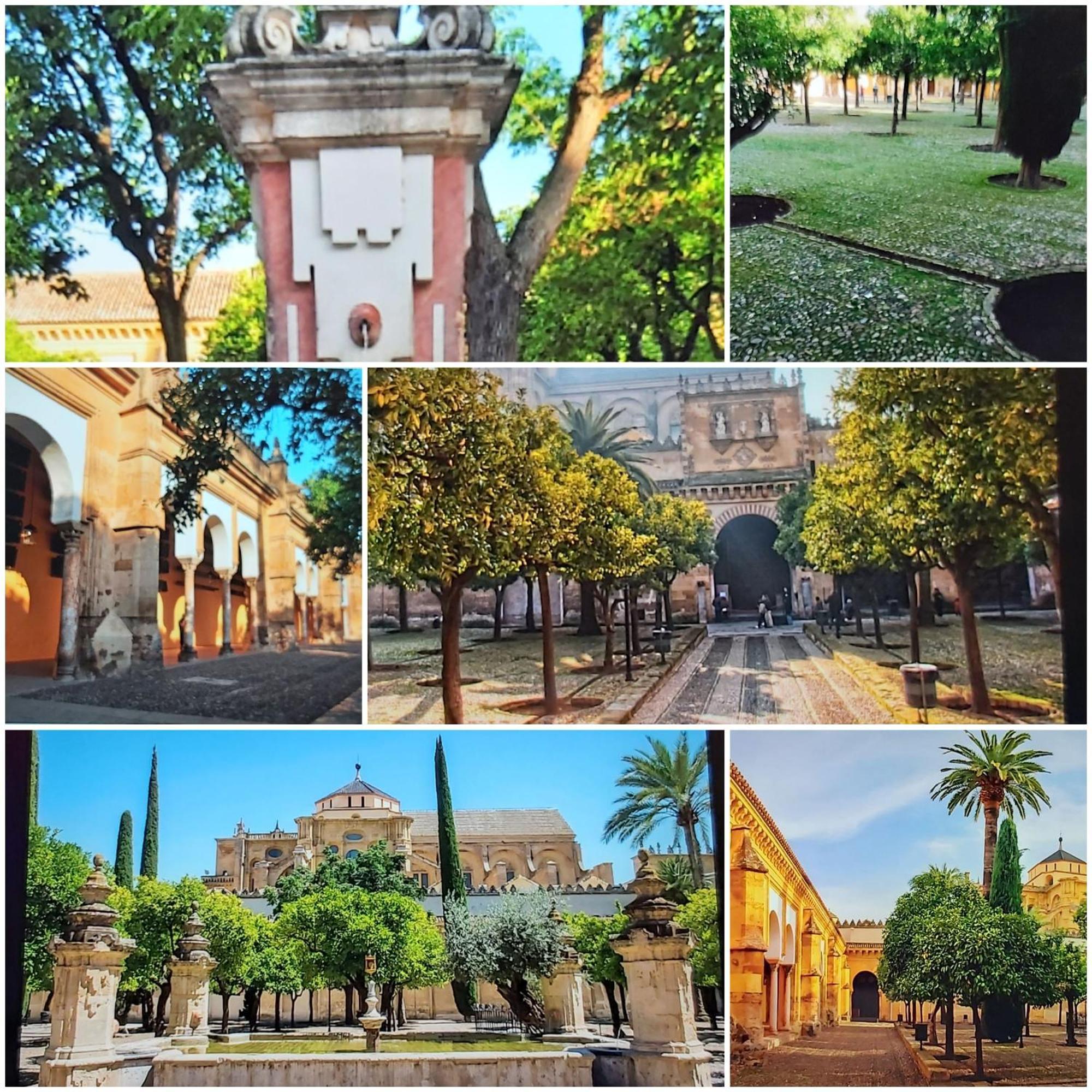 קורדובה A 20 Metros De La Mezquita Catedral ,Apartamentos Turistico Cespedes 5 חדר תמונה