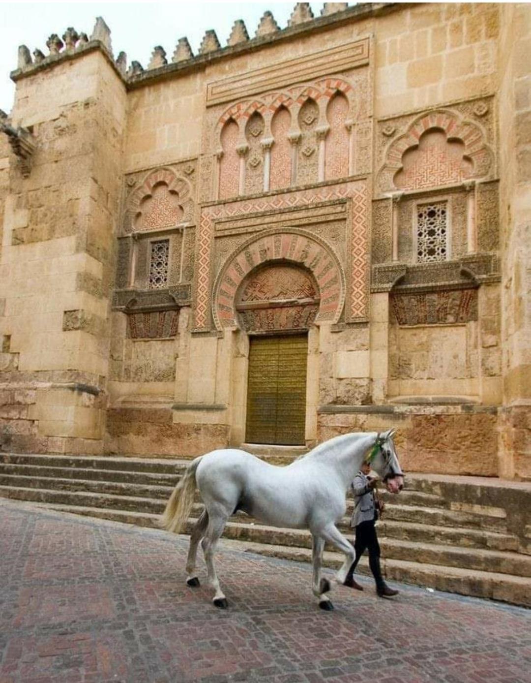 קורדובה A 20 Metros De La Mezquita Catedral ,Apartamentos Turistico Cespedes 5 חדר תמונה