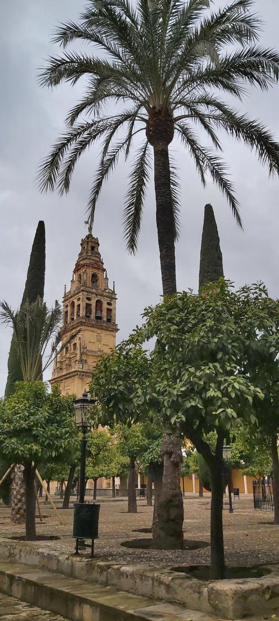 קורדובה A 20 Metros De La Mezquita Catedral ,Apartamentos Turistico Cespedes 5 חדר תמונה